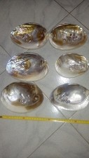 Perle incastonate in