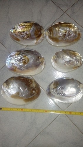 Perle incastonate - , in