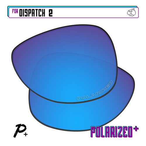 Polarizzato lente di - +,