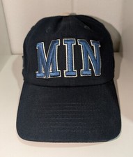 Minnesota Timberwolves NBA Fan