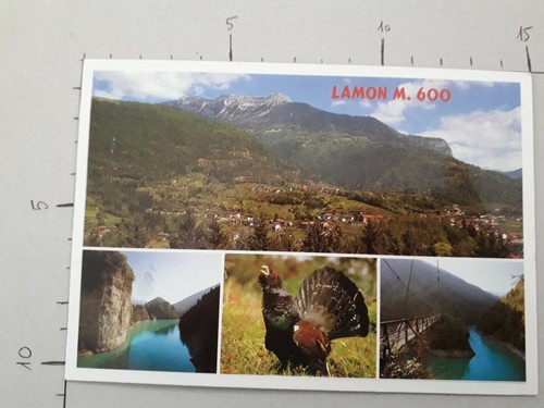 Lamon 20 viaggiata - -, 92.20