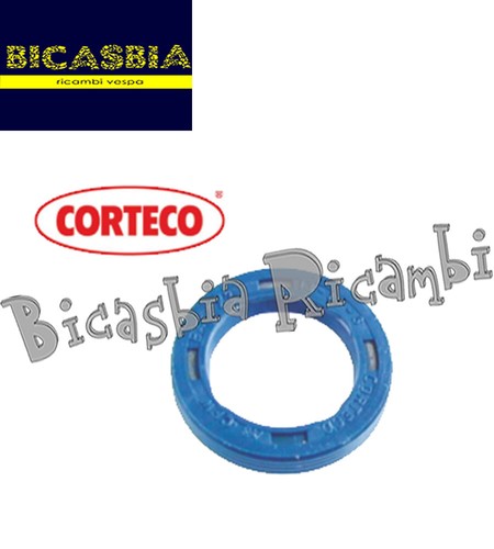 3616 paraolio 13x19x3 - -,