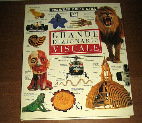 Grande dizionario visuale - grande,
