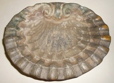 Acquasantiera antica in bronzo stagnato interno e dorato esterno, cm. 29x24x8,5