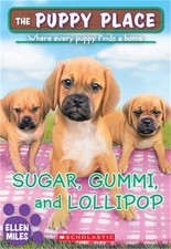 Sugar, Gummi and Lollipop (the