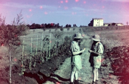 Ww2 colore dia - ww2,