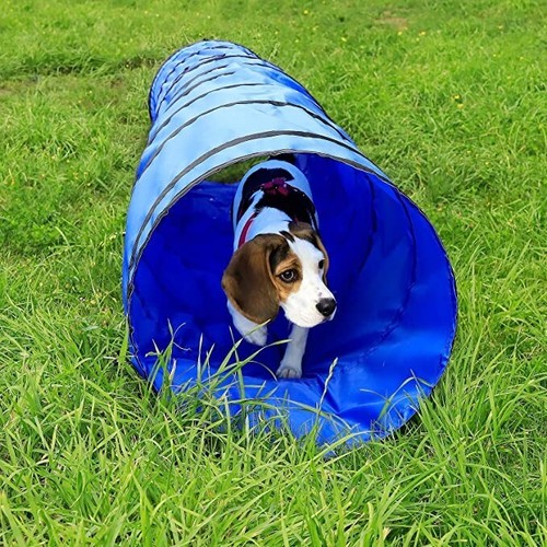 Tunnel per cani gioco - tunnel,