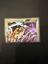 Raikou & Suicune Legend (Top)