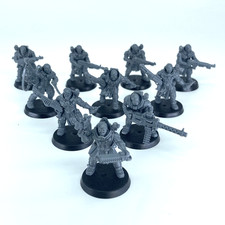 Neophyte Hybrids - Culti