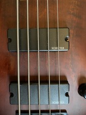 basso elettrico 5 corde
