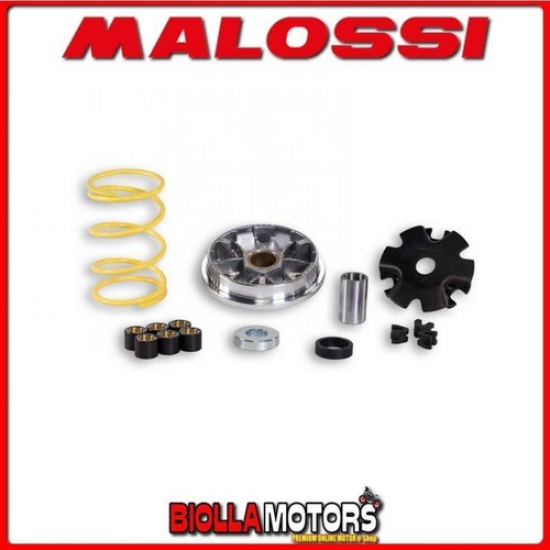 517074 variatore malossi - variatore,