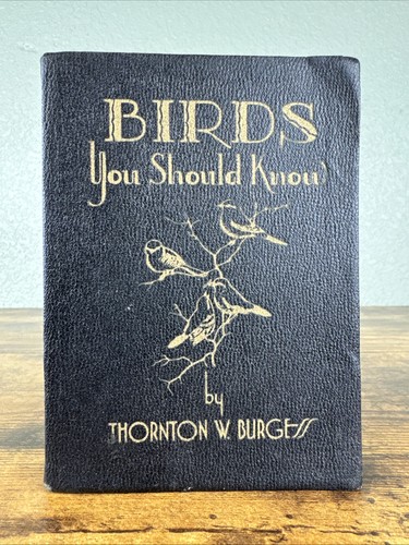 Birds you should - you, know