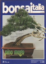 Bonsai Italia. n. 38