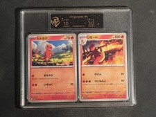 POKEMON - CHARMANDER +