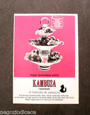 [GCG]  N963 - Advertising Pubblicità - 1970 - KAMBUSA , L'AMARICANTE
