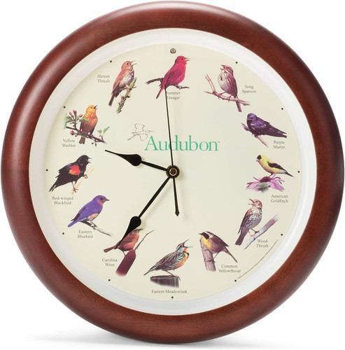 Orologio parete audubon - da,