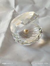 Conchiglia “Aquatic