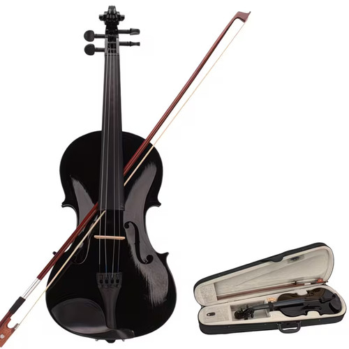 Arco custodia violino acustico