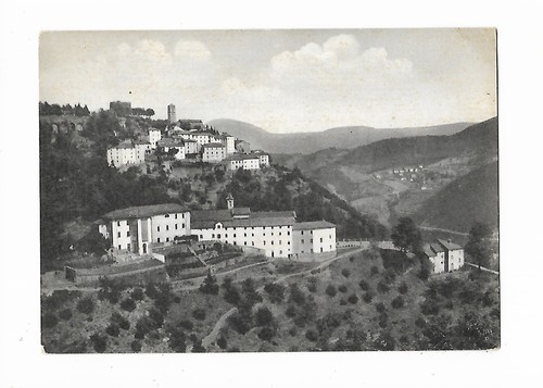 Pistoia sambuca - -,