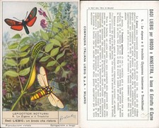 FIGURINA LIEBIG ANNI