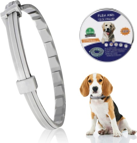 Collare antipulci cane - antipulci,