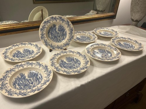 Williams sonoma blue harvest - blue,