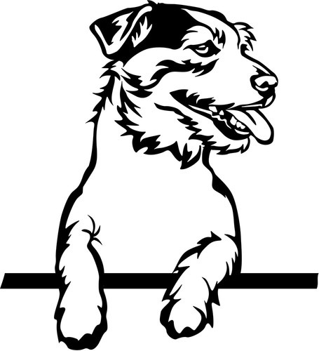 Adesivo jack russell terrier - adesivo,