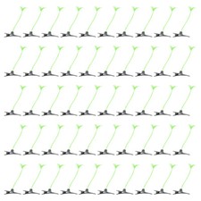 50 pezzi forcine divertenti