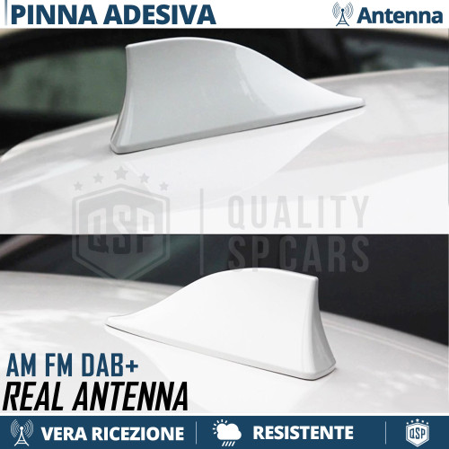 Antenna pinna squalo bianca - pinna,