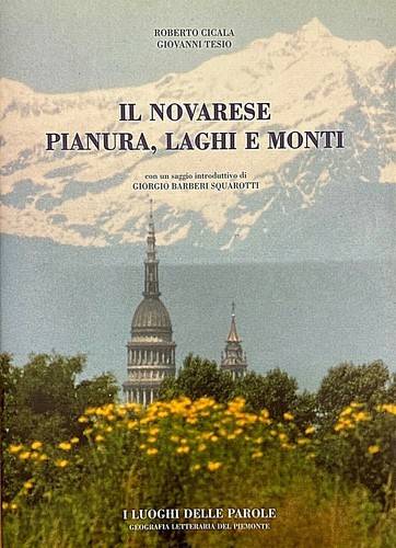 Cicala tesio novarese - cicala,