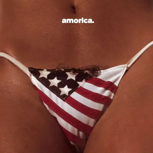 2xlp the black - crowes, amorica