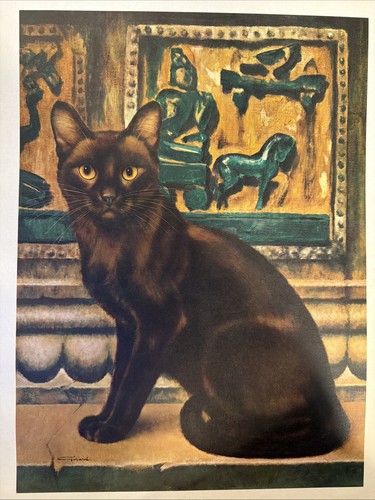 Stampa vintage gatto - , birmano