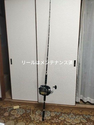 Daiwa seaborg 1000mt set - daiwa,