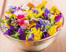 FIORI EDULI IN MISCUGLIO 600 SEMI DI CIRCA 10 VARIETA' DIVERSE 