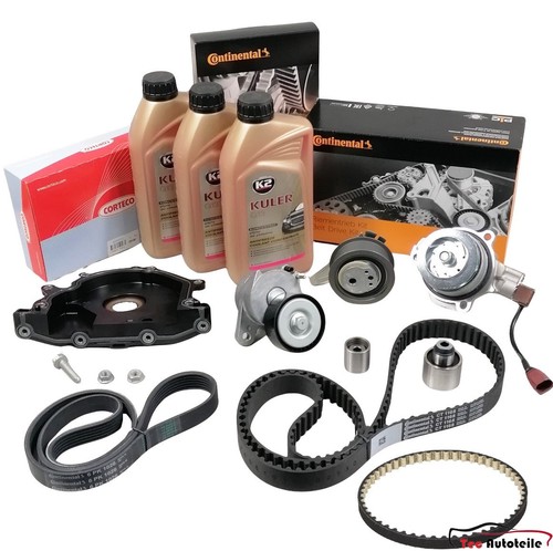 Cinghia distribuzione