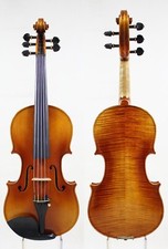 Violino violino 5 corde!Copia