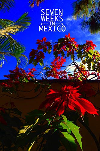 Seven weeks mexico - in,