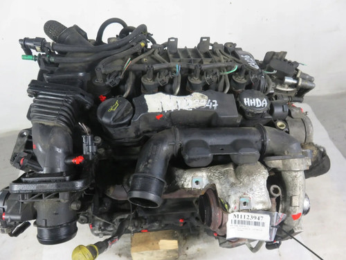 Motore ford focus hhda 6 - hhda, 1.6