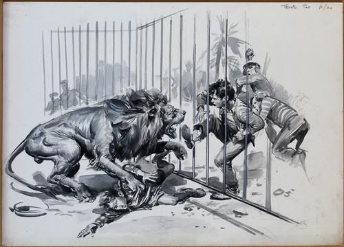 Roberto molino illustrazione - molino,