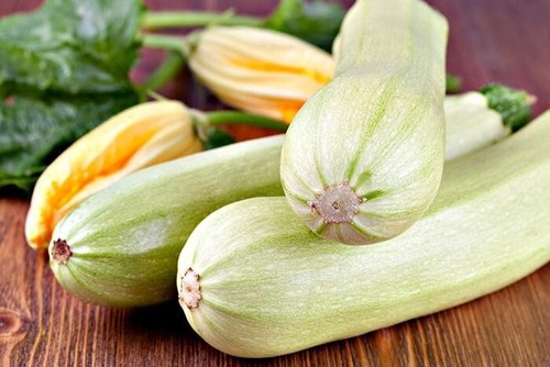 Zucchine seёds bio grammi - zucchine,