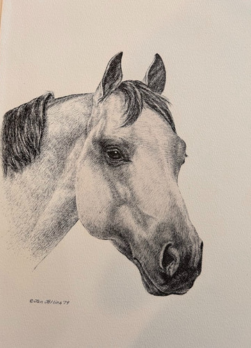 Quarter horse stampa - stampa, vintage