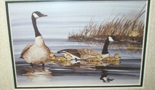 STEVE LEONARDI #615 LITOGRAFIA