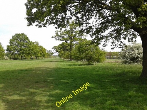 Photo 6x4 queen - photo,