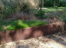 Bordo per prato ruggine bordo