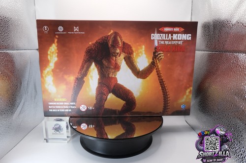 Godzilla kong il nuovo - il,