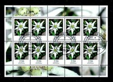 Fiori 220 C (bianco pregiato)