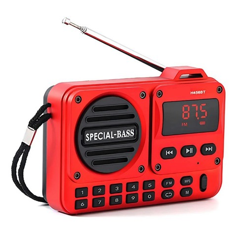Radio digitale portatile - fm,
