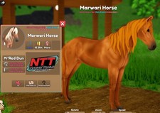 Wild Horse Islands - Red Dun