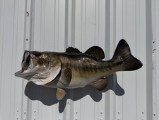 28" Largemouth Bass Two Sided