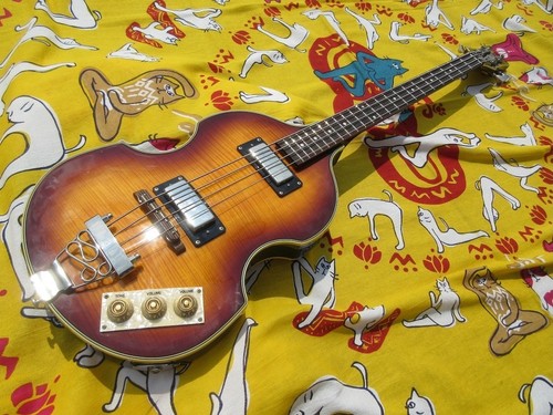 Epiphone viola bass con - viola,